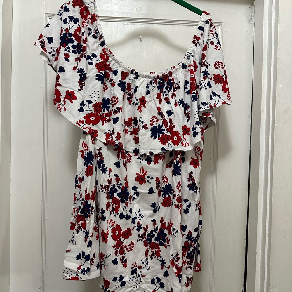Woman Within Red and Blue Floral Blouse